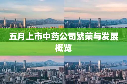 五月上市中藥公司繁榮與發(fā)展概覽